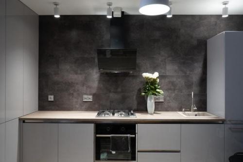 Моя кухня, без подвесных шкафов. 03