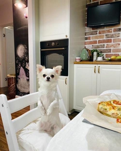 Интерьер однокомнатной квартиры. 04