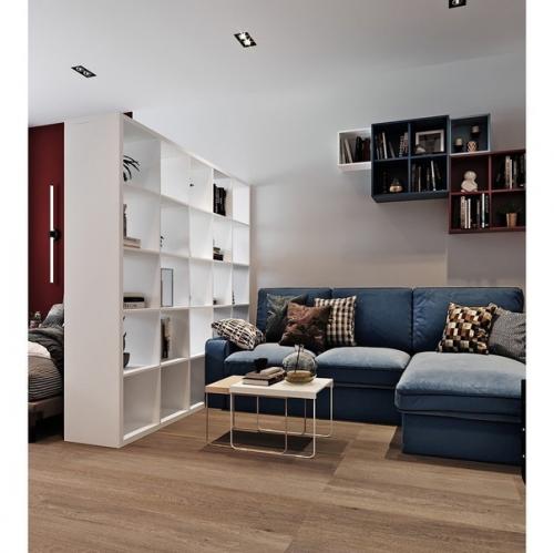 Однокомнатная квартира с зонированием. 03