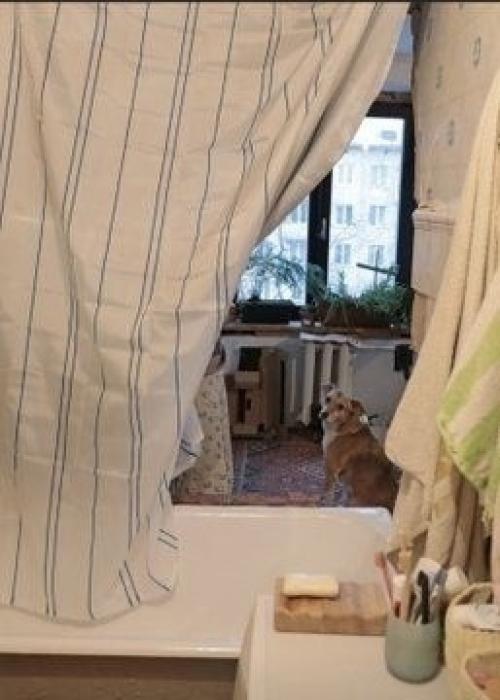 Роскошная квартира, которая сдается в аренду в Москве. 01