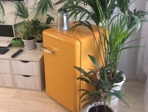 Вот такая уютная студия для дамы с собачкой. 02