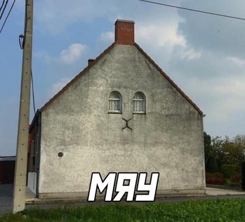 Ну правда, как там можно не увидеть кота. 02