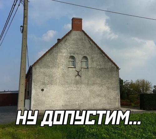 Ну правда, как там можно не увидеть кота. 01