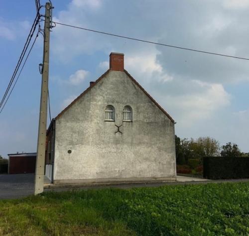 Ну правда, как там можно не увидеть кота.