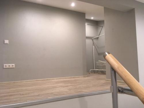 Двухуровневая квартира - студия. 03