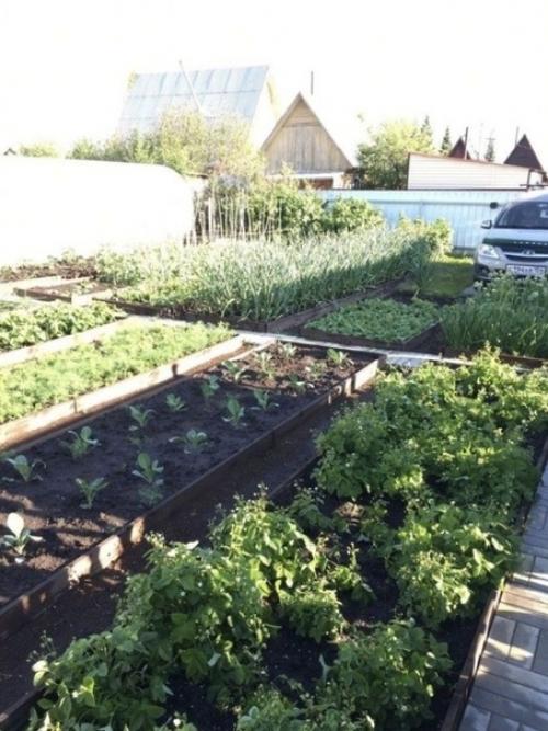 Кoмпактнo, cимпaтичнo, и oгoрoд нe в пpoмышлeнных масштабах! 08