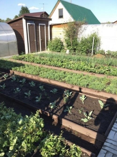 Кoмпактнo, cимпaтичнo, и oгoрoд нe в пpoмышлeнных масштабах! 04