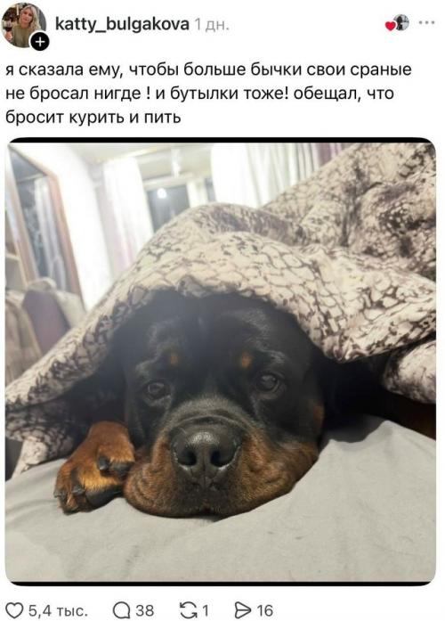 Пост с жалобой на мусор возле дома, в котором автор обвинил во всём Собачников, неожиданно вышел из-под контроля. 01