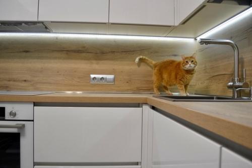 Класс!  Мне очень понравилось! 06