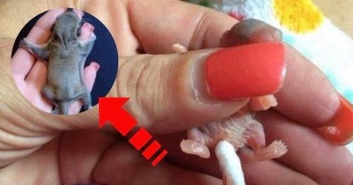 Немного милоты вам в ленту. 03