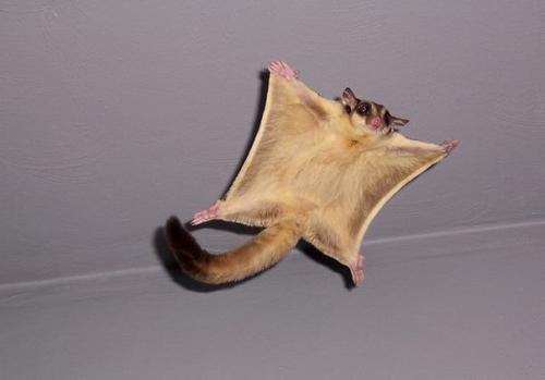 Немного милоты вам в ленту. 07