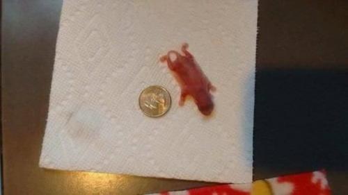 Немного милоты вам в ленту. 01