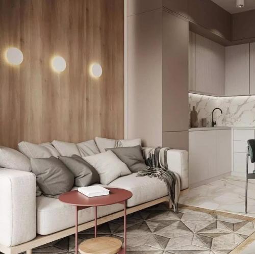 Компактная кухня - гостиная площадью 16 кв. 02