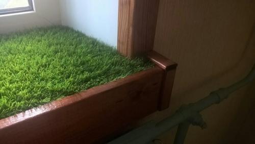 Подоконник с газоном, деревянное обрамление окна и экран на батарею из бамбука своими руками. 03