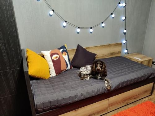 Сделали комнату для двух мальчиков подростков. 03