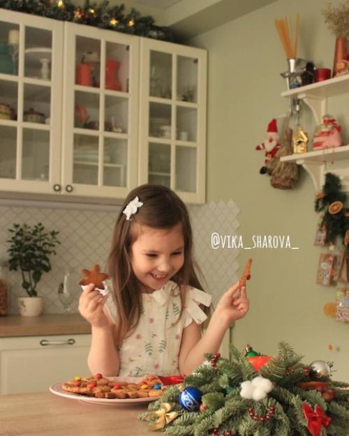 Наша новогодняя кухня.