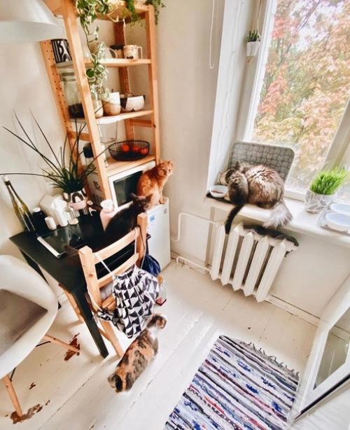 Маленькая светлая кухонька. 02