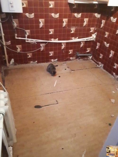 Неплохой результат в таком помещении. 01