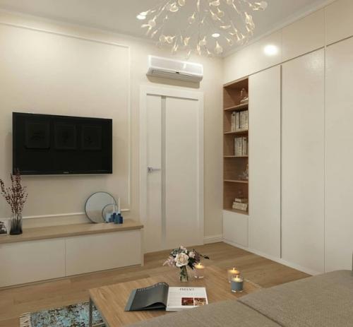 Дизайн - проект однокомнатной квартиры + плаировка. 02