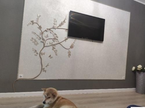 И ещё одна идея от творческого человека. 02