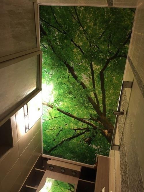 Вот какие малышки бывают. 03