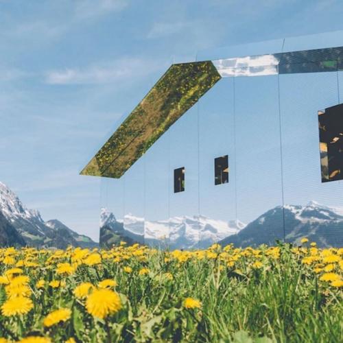 Как спрятаться от многочисленных родственников на даче. 04