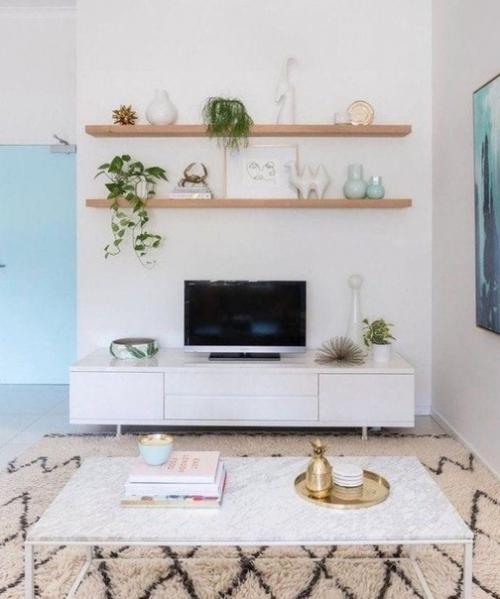 Оформление TV зоны комнатными растениями. 01