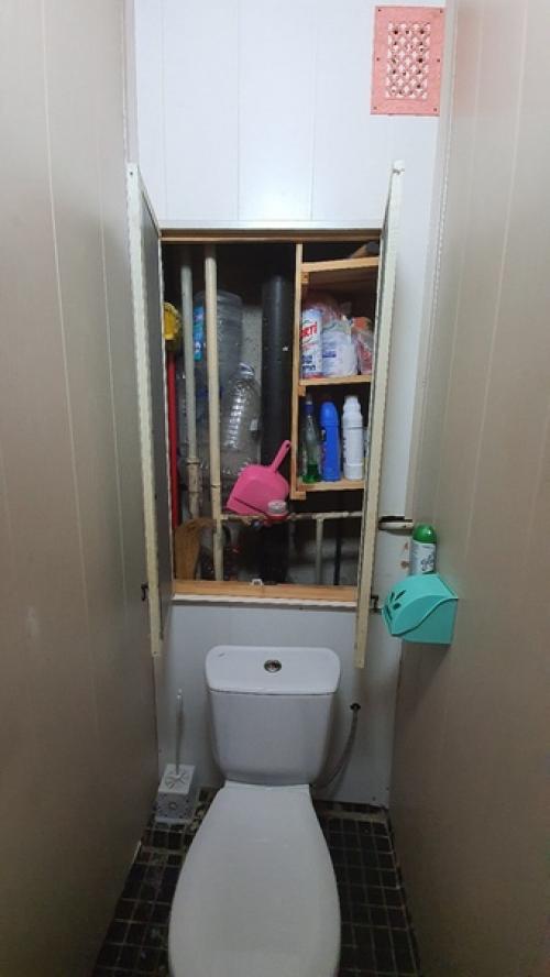 Подскажите как сделать в туалете дизайн, и что бы лбом дверь не поддерживать очень длинное горло или как оно там называется достало честно. 01