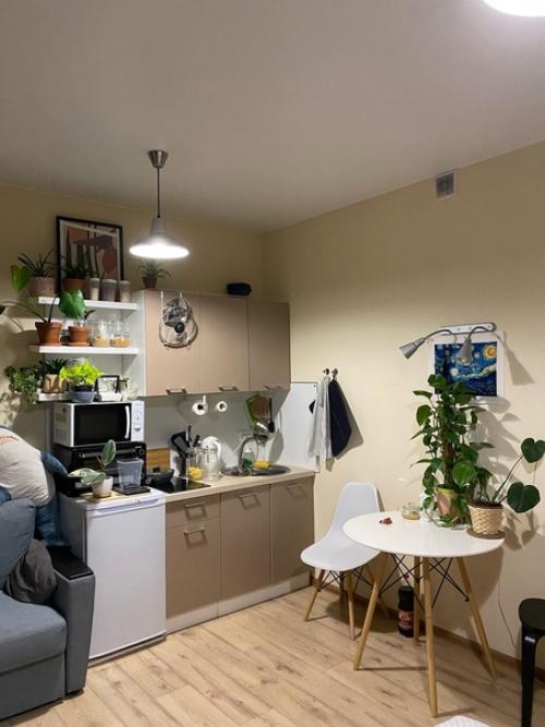 Ну правда, своя лучше, чем съемная. 01