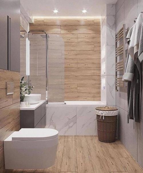 Очень проект совмещенного санузла понравился. 04