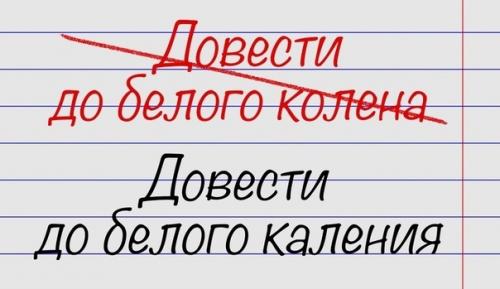 Мы пишем правильно! 07