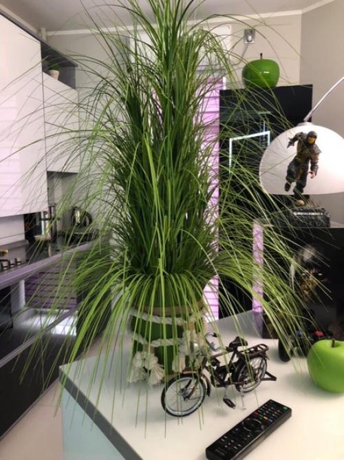 Из однушки (35 кв. 08