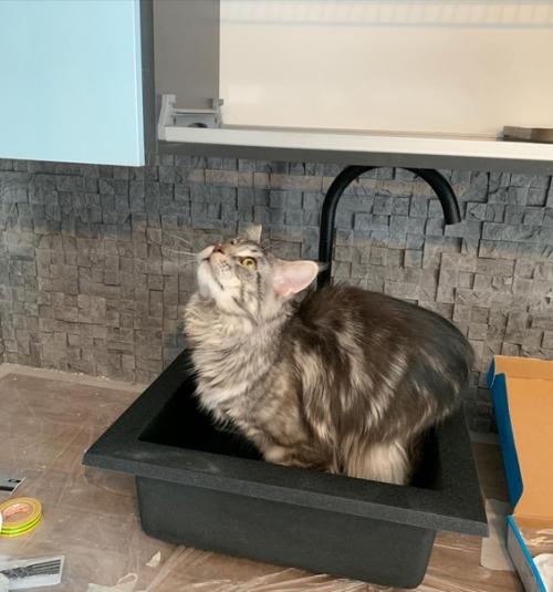 История одной кухни. 05