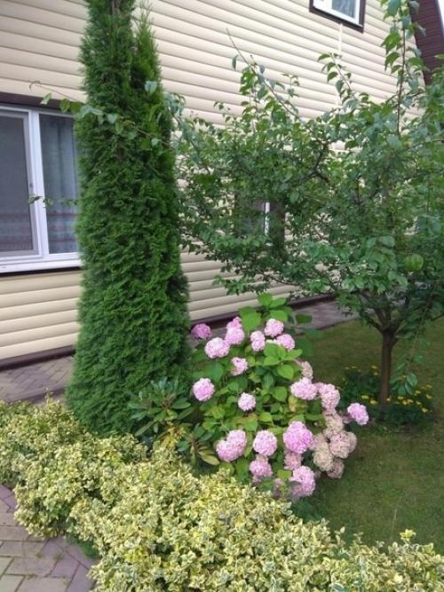 Посмотрите, как облагородил участок наш подписчик за 9 лет. 04