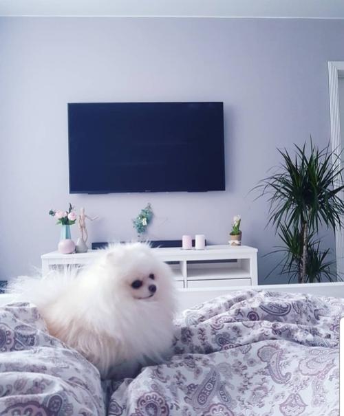 Милая квартира от нашей подписчицы: 01