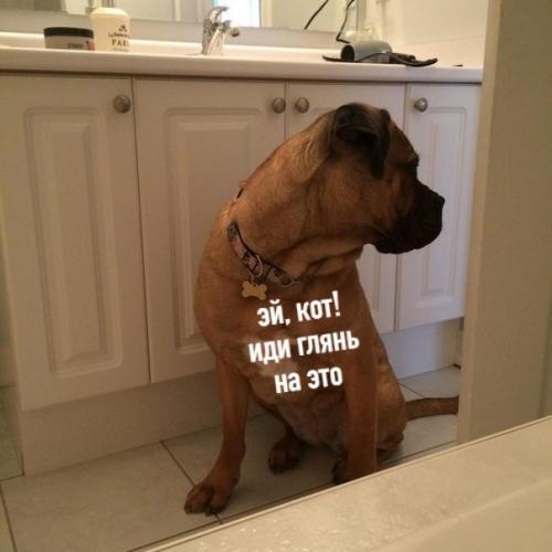 Идеи дизайна интерьера. 01