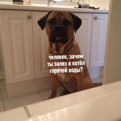 Идеи дизайна интерьера.