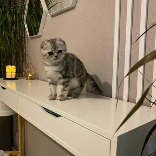 Идеи дизайна интерьера. 03