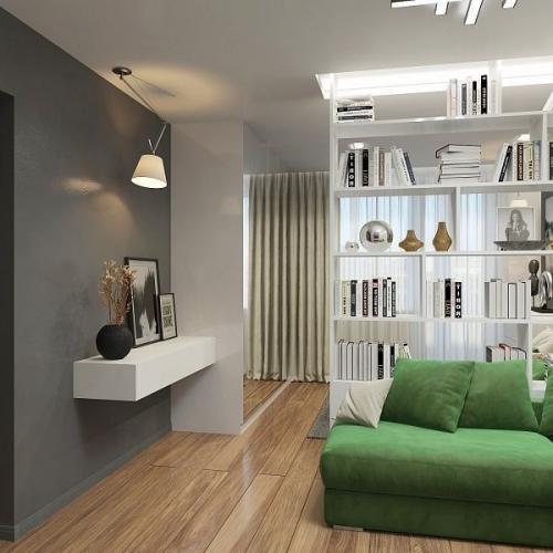 Зонирование однушки на ваш суд. 01