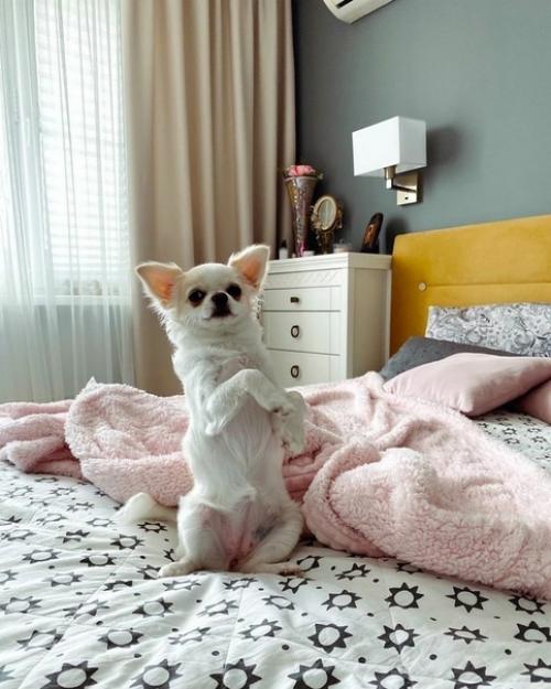 Особенного внимания тут заслуживает кухня. 07