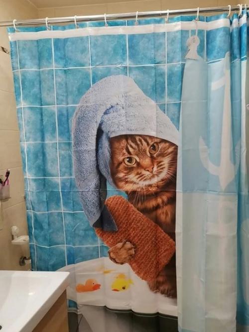 Долой скучные шторки в ванную комнату!