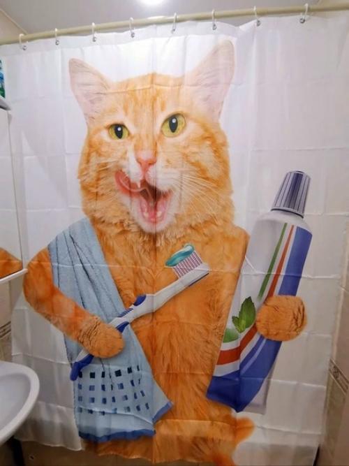 Долой скучные шторки в ванную комнату! 01