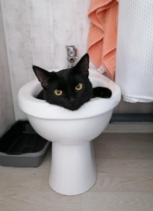 Ситуации в жизни бывают разные. 08