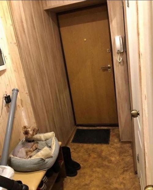 Ремонт в квартире наших подписчиков. 08