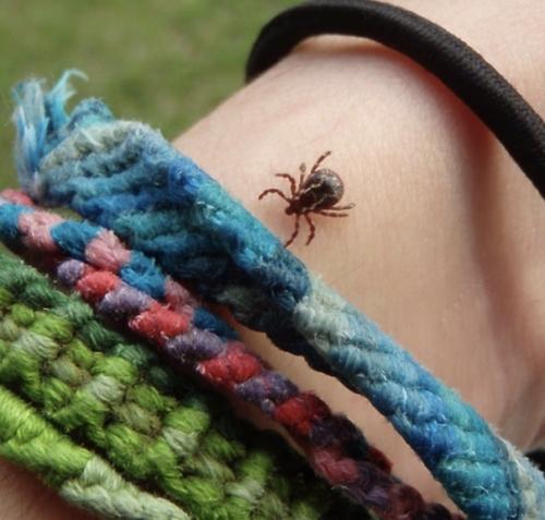 Для тех, кто забыл, не знал.