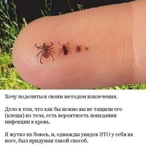 Для тех, кто забыл, не знал. 01