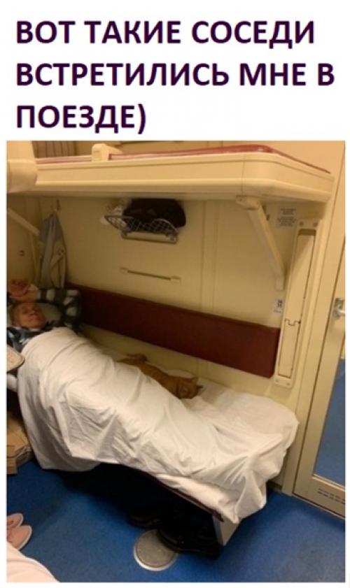 Ну так это самый спокойный сосед, судя по всему.