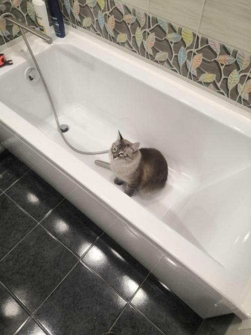 Вот так вот преобразилась ванная комната в золотых руках мужа нашей подписчицы. 04