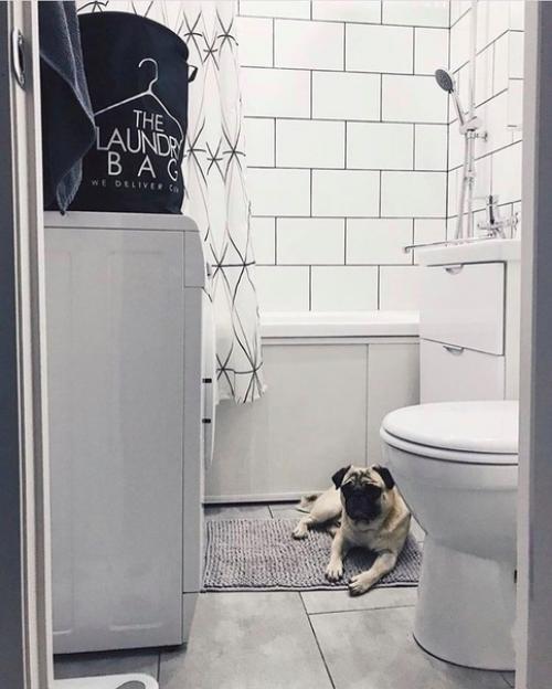 Капитальный ремонт. Такой светлый и уютный интерьер получился. 06