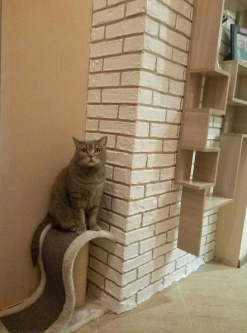 Кирпичики ещё в тренде. 07